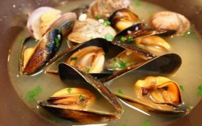 Fiskefad Provence!