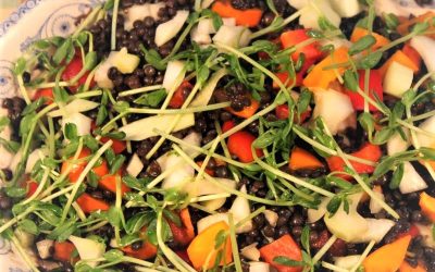 Linsesalat i farver, fræk og fristende!