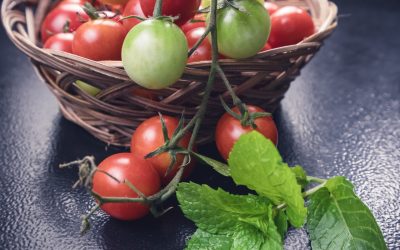 Tomat-squash-mozzarella salat