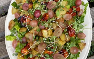 Sensommer kartoffelsalat!