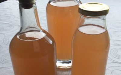 Æblesaft – uden brug af saftkoger eller tuttifrutti saftgryde!