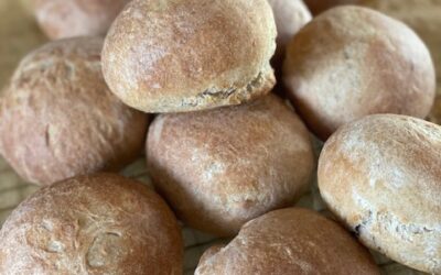 Boller bagt med æblemos!