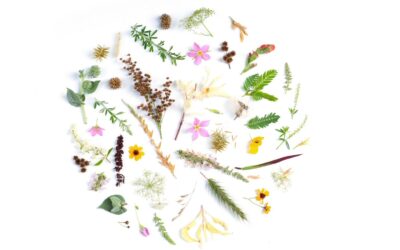 Botaniske blandinger til brødbagning!
