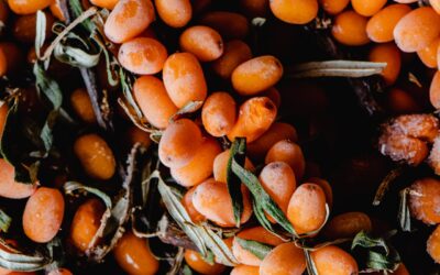 Juice med havtorn – flydende vitaminer!