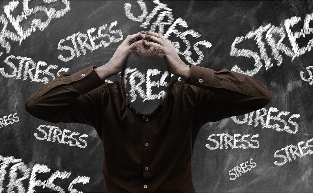 Stress, fordøjelsesudfordringer og psykobiotika!