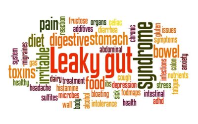 Leaky gut eller utæt tarm, symptomer og veje til bedring!