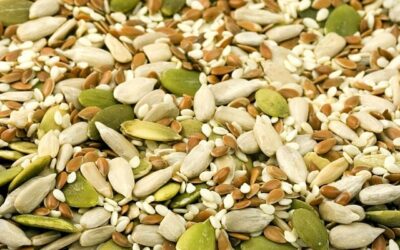 Protein, en vigtig byggesten i sundhed!
